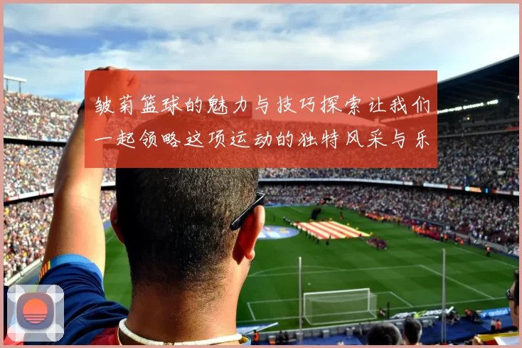 皱菊篮球的魅力与技巧探索让我们一起领略这项运动的独特风采与乐趣